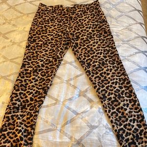 Zara Leopard Skinny pants